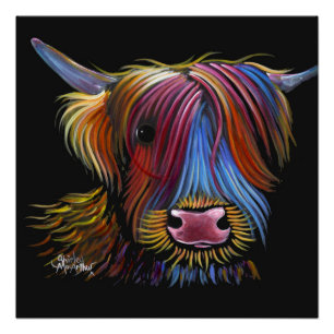 Poster Scottish Highland Cow ' PODGER ' par Shirley M