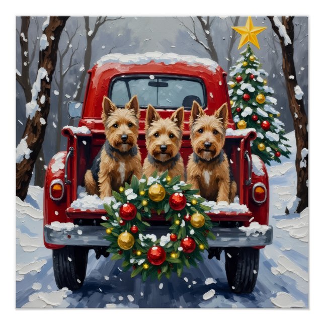 Poster Scottish Terrier Christmas Red Truck Holiday (Devant)