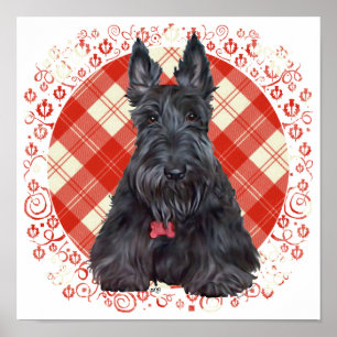 Poster Scottish terrier on tartan