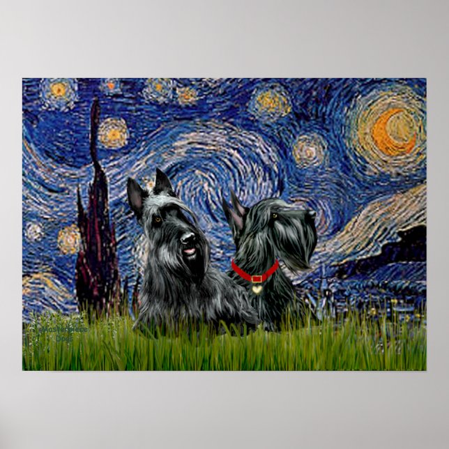 Poster Scottish Terrier (two black) - Starry Night (Devant)