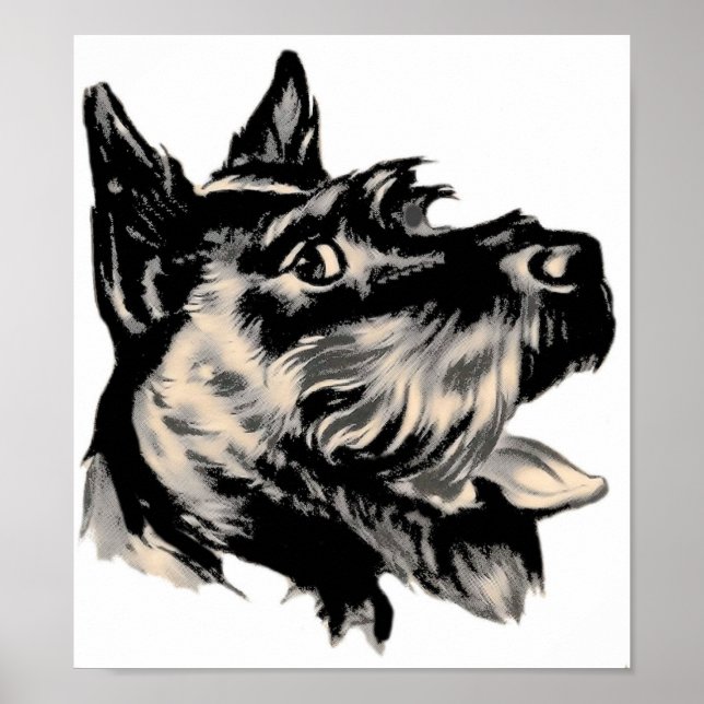 Poster Scotty Dog (Devant)