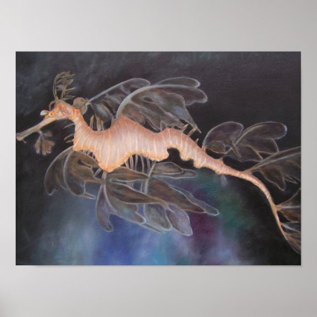Poster SEA DRAGON (Devant)