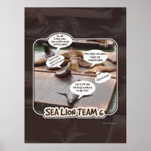 Poster Sea Lion Team 6 Drôle Ocean Life Slogan