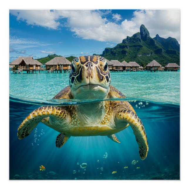 Poster Sea Turtle in Tropical Paradise (Devant)