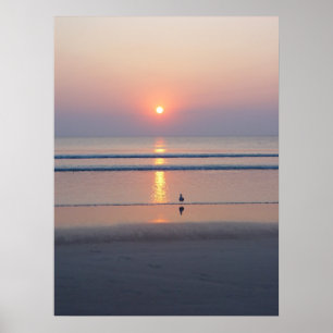 Poster Seagull Daytona Beach FL Ocean Sunrise