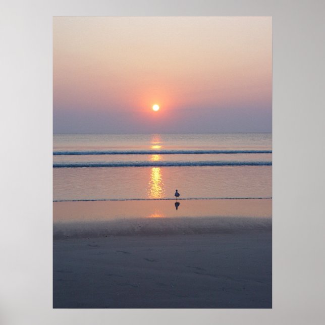 Poster Seagull Daytona Beach FL Ocean Sunrise (Devant)