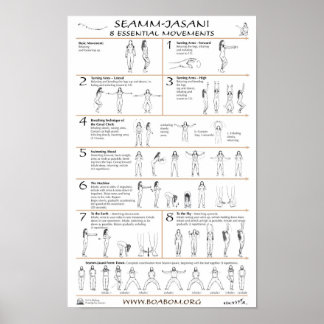 Poster Seamm-Jasani : 8 mouvements essentiels
