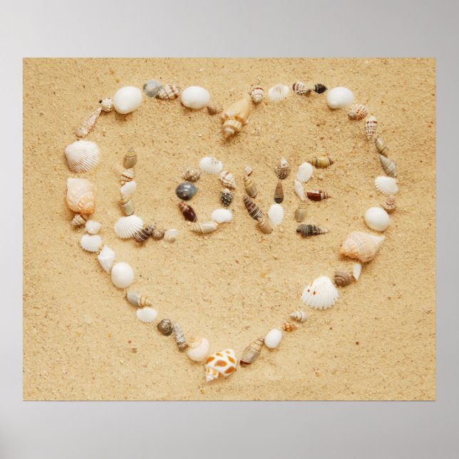 Poster Seashell Love (Devant)