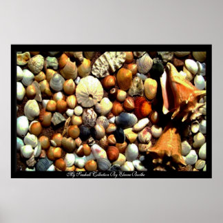 Poster Seashell_ Poster_by Elenne Boothe
