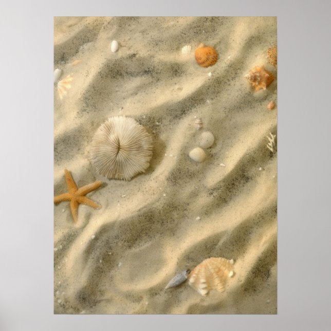 Poster Seashells (Devant)