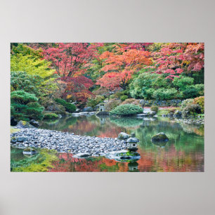 Poster Seattle, jardin japonais de l'Arboretum