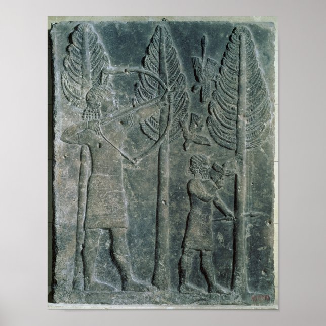 Poster Secours décrivant la chasse aux oiseaux dans (Devant)