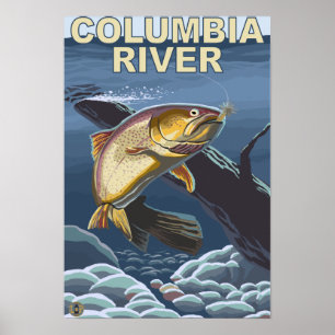 Poster Section transversale de la truite fardée