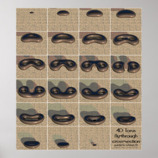 Poster section transversale du torus 4D