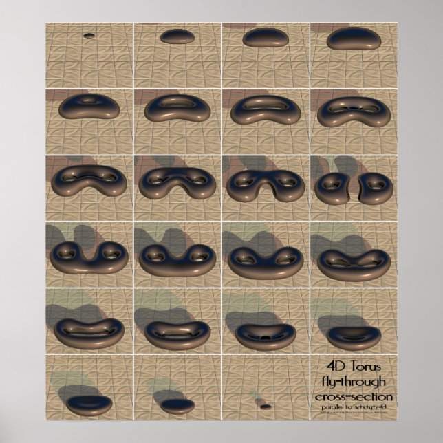 Poster section transversale du torus 4D (Devant)