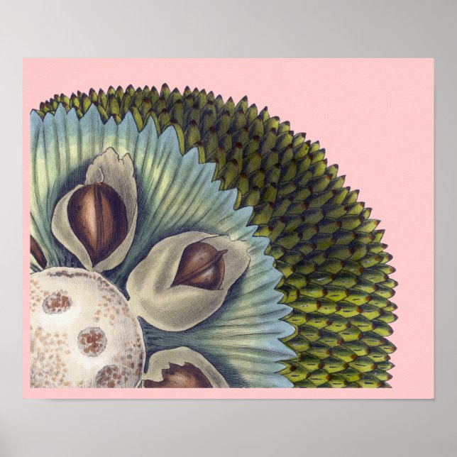 Poster Section transversale d'un Fil de pain - Aliments t (Devant)