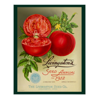 Poster Semences annuelles