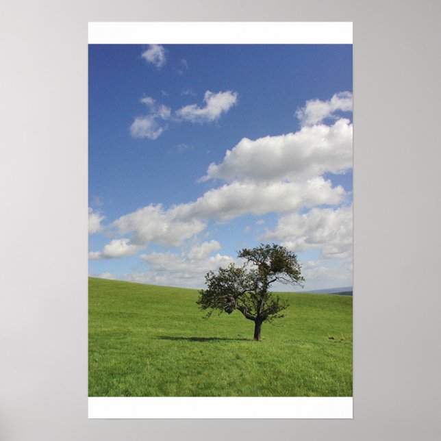 Poster Sens (Devant)