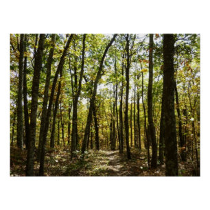 Poster Sentier des Appalaches en octobre à Shenandoah