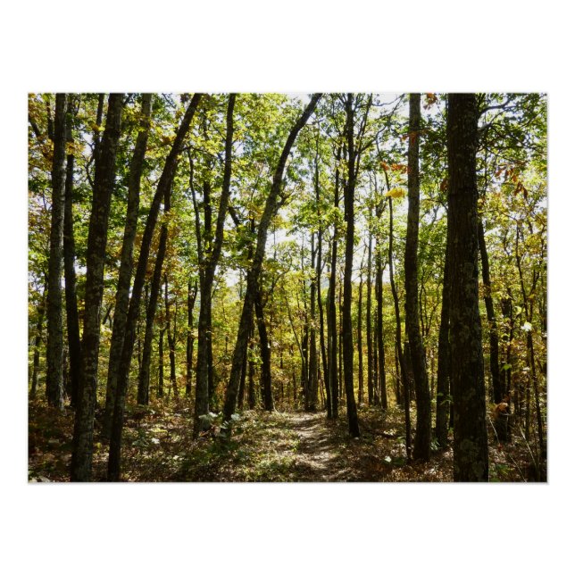 Poster Sentier des Appalaches en octobre à Shenandoah (Devant)