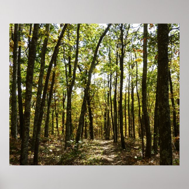 Poster Sentier des Appalaches en octobre à Shenandoah (Devant)