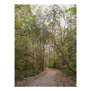 Poster Sentier forestier d'automne doré