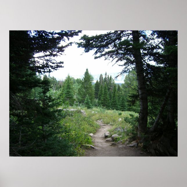 Poster Sentier Grand Teton (Devant)