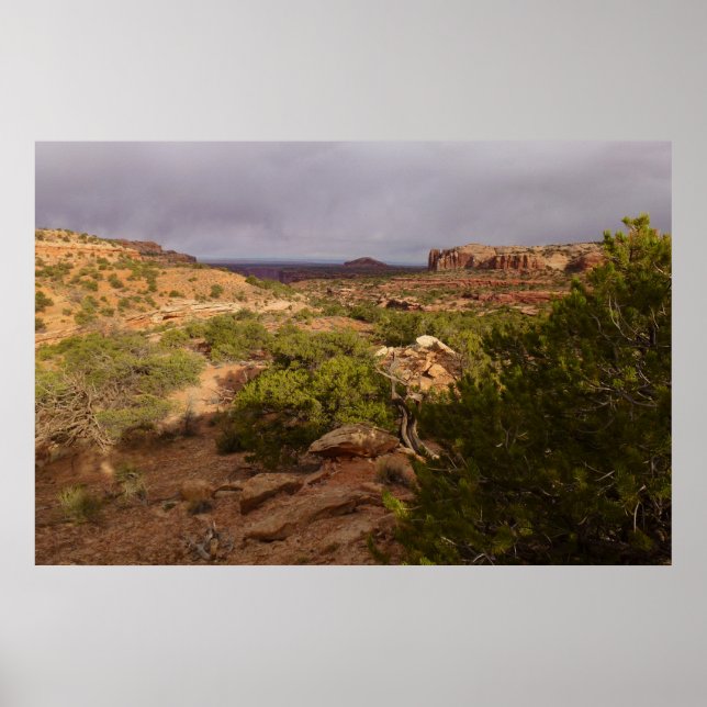 Poster Sentier Neck Springs dans le parc national de Cany (Devant)