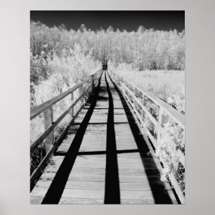 Poster Sentier protégé de Corkscrew Swamp, Floride,