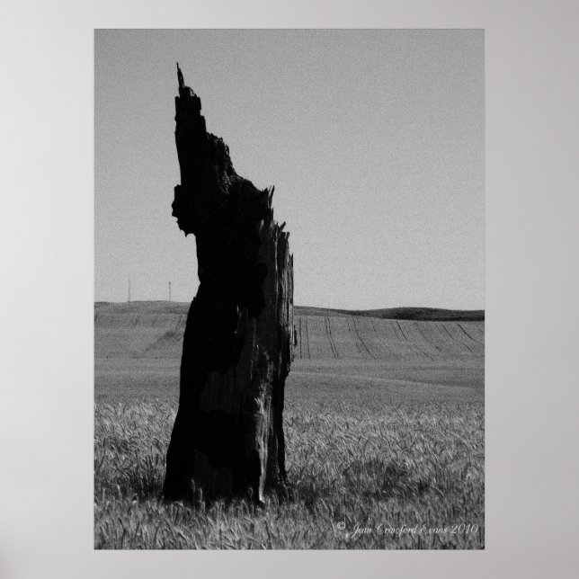 Poster Sentinal (Devant)
