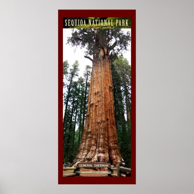 Poster SEQUOIA NAT'L PARK-California-General Sherman- (Devant)