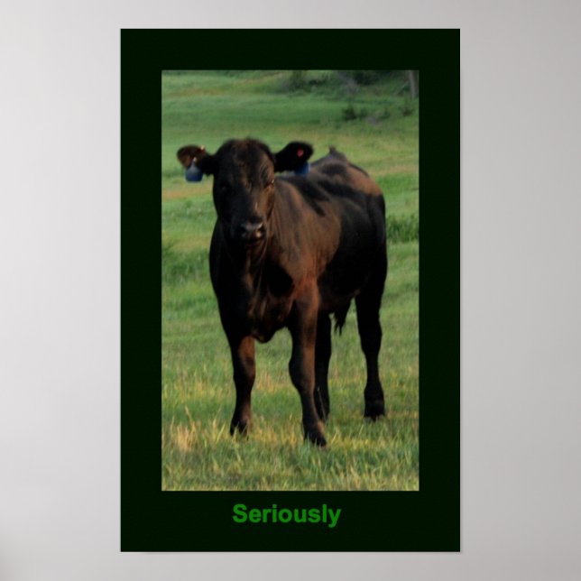 Poster sérieux (Devant)