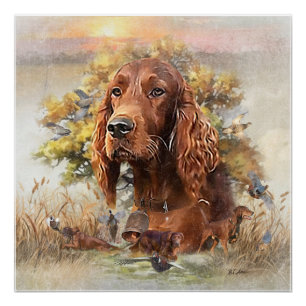Poster Setter irlandais - Oiseau Dog Ultimate Upland