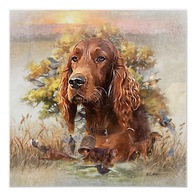 Poster Setter irlandais - Oiseau Dog Ultimate Upland (Devant)