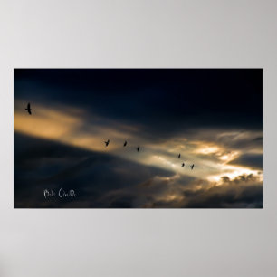 Poster Seven Bird Vision, Bob Orsillo