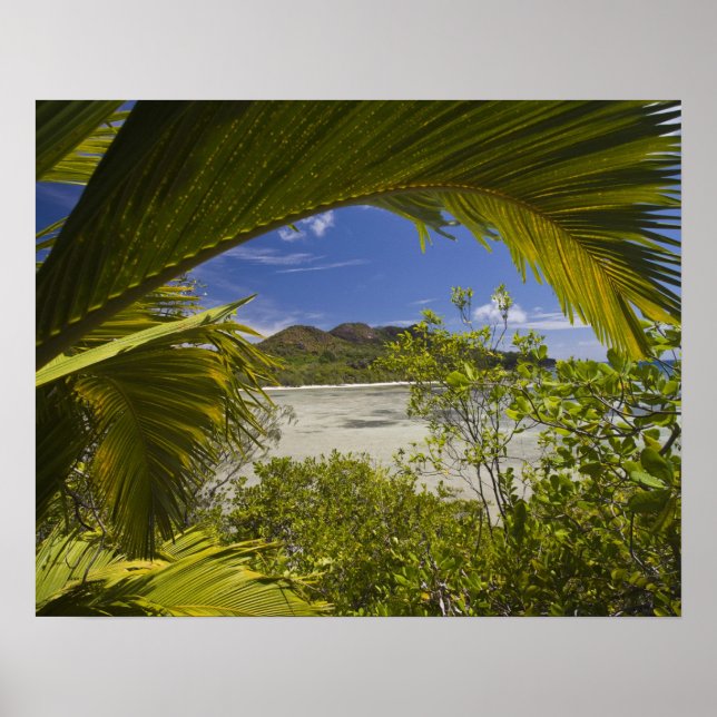 Poster Seychelles, île Curieuse, baie Laraie (Devant)