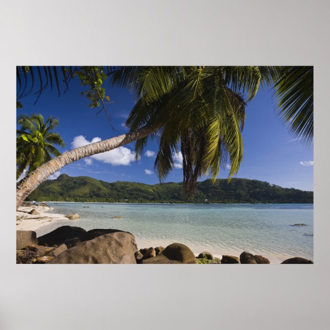 Poster Seychelles, île de Mahe, Anse à la Mouche (Devant)