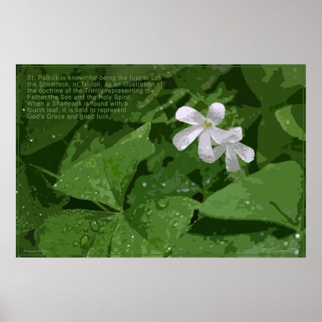 Poster shamrock avec texte -36x24 -ou plus petit (Devant)