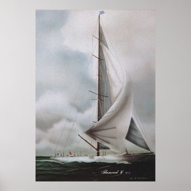 POSTER SHAMROCK IV (Devant)