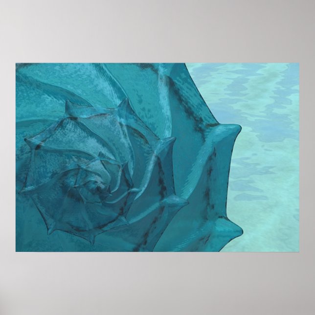 Poster Shell (Devant)