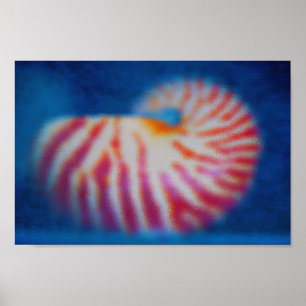 Poster Shell maritime
