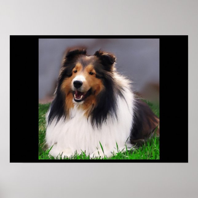 Poster Shetland Sheepdog Art Imprimer (Devant)