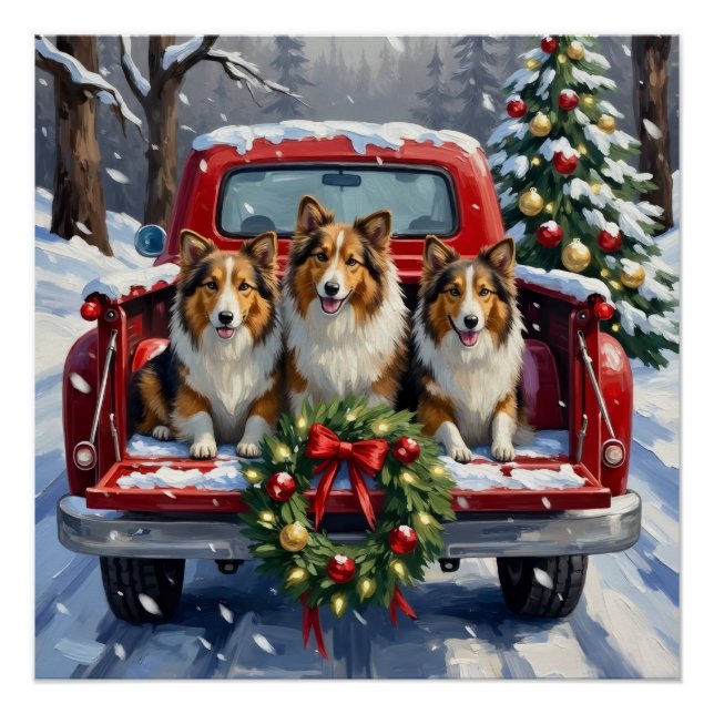 Poster Shetland Sheepdog Christmas Red Truck Holiday (Devant)