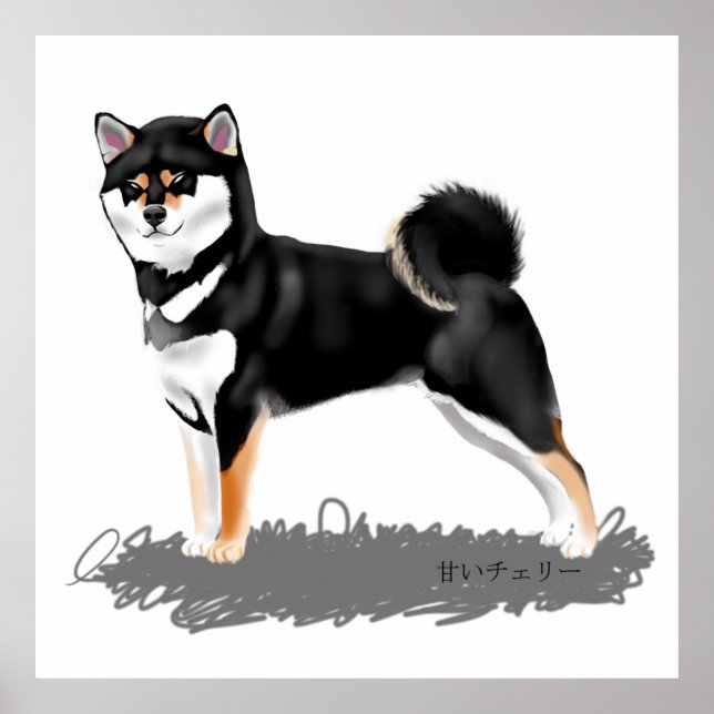 Poster Shiba inu (Devant)