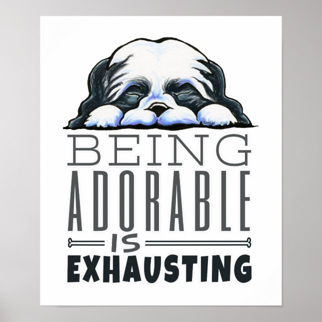 Poster Shih Tzu Être adorable (Devant)