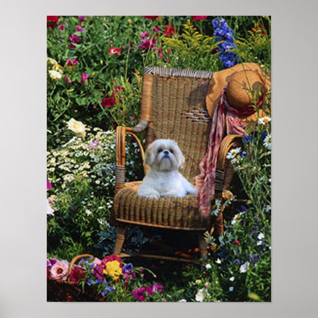 Poster Shih Tzu Garden (Devant)
