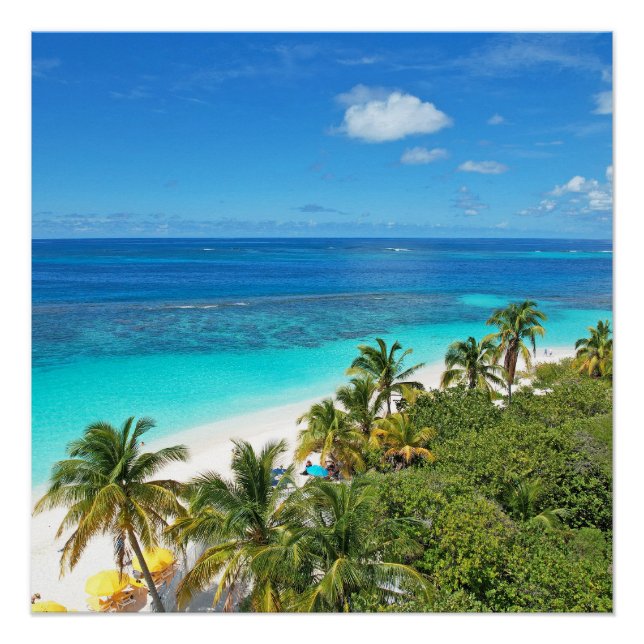 Poster Shoal Bay Est  (Devant)