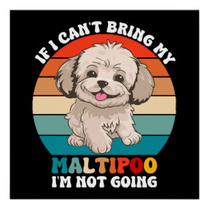 Poster Si je ne peux pas amener mon chien Maltipoo, je ne