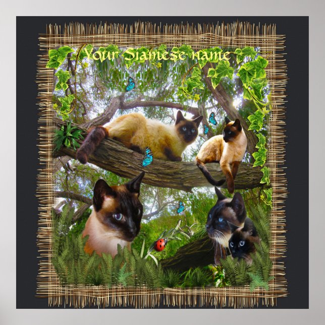 Poster Siamese Sophie notre chat jouer dans son jardin (Devant)