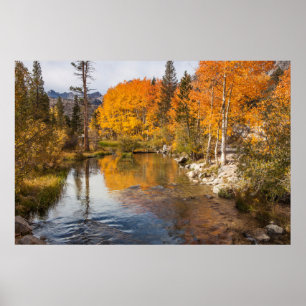 Poster Sierra orientale, Bishop Creek, sortie de Californ